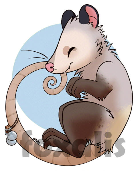 A digital drawing of a curled up opossum character.