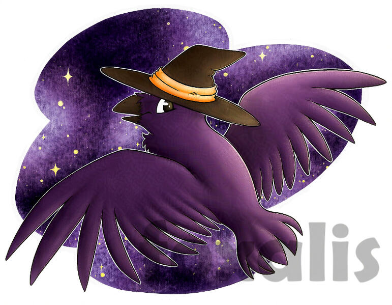 A digital drawing of a crow wearing a witch hat. Behind them is a purple starry sky.